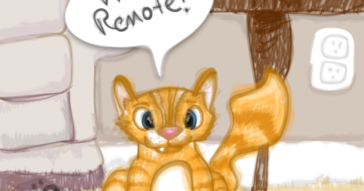 tiny thief cat tiny thief cat
